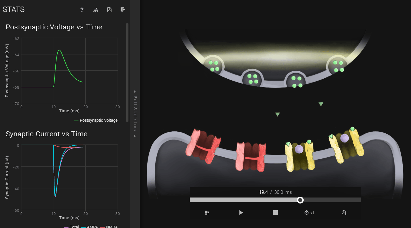 Neuromembrane Simulation