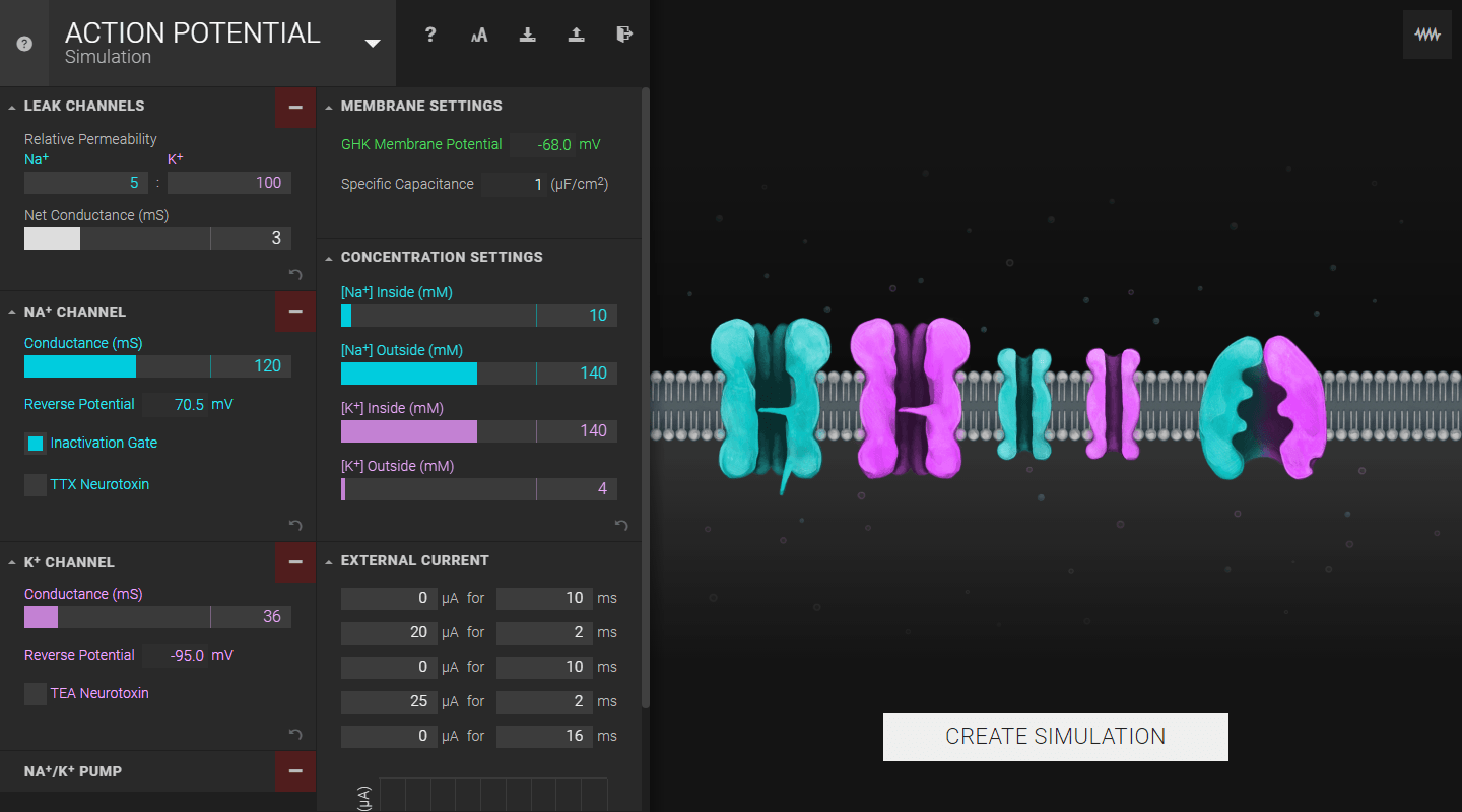 Neuromembrane Settings